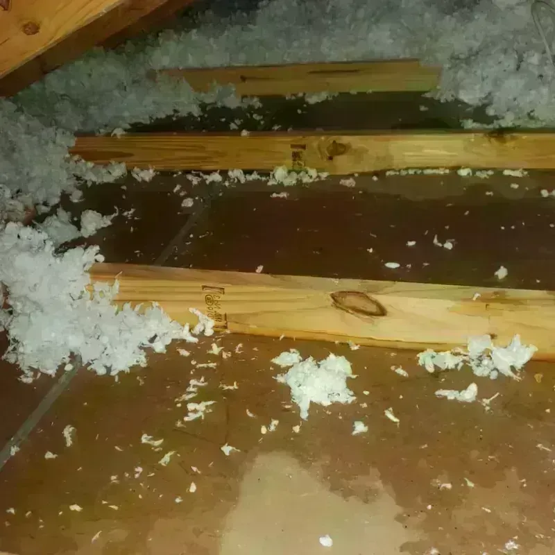 Attic Water Damage in Livonia, NY